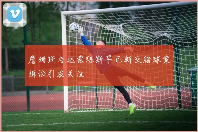 詹姆斯与达蒙琼斯早已断交赌球案诉讼引发关注