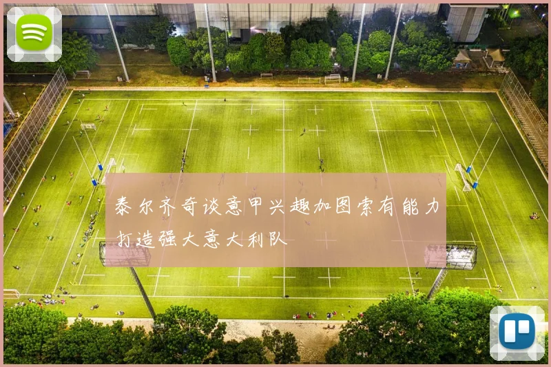 泰尔齐奇谈意甲兴趣加图索有能力打造强大意大利队