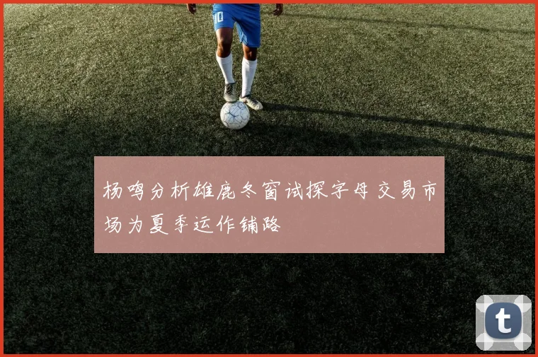 杨鸣分析雄鹿冬窗试探字母交易市场为夏季运作铺路